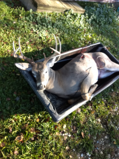 Robby Kimsel of East Tawas Bagged his 8 point!