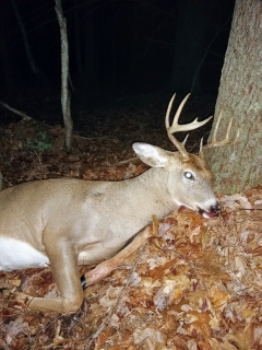 Matt Hinckley 9pt Iosco County