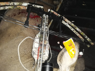 Marcus Lafayette of Tawas City bagged a Doe!