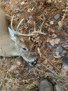 Salvatore Vultagglo of Macomb bagged his 8 pointer in Alcona County.  50 yards away!