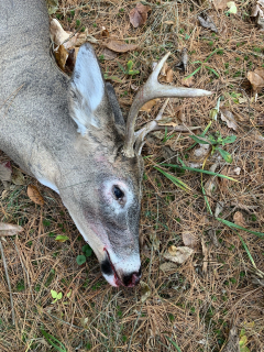 Rick Thompson of Tawas City!  6 point buck.  