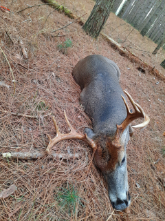 Keith Lappin of Oscoda shot a nice 10 point at 30 yards!