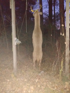 Traci Summerland of National City bagged an 8 point!