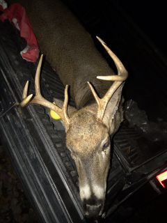 Dan Puchovan of Sterling Heights bagged n Iosco County 8 point!  