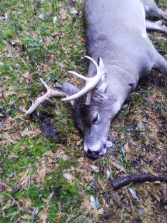 Jon Schalkofske of Hubbard Lake bagged an 8 point!