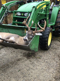 Brad Ventline from Kinde got a nice 10 point!