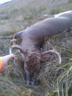 Peter Kaiser from Whittemore shot this 8 point at 300 Yards!