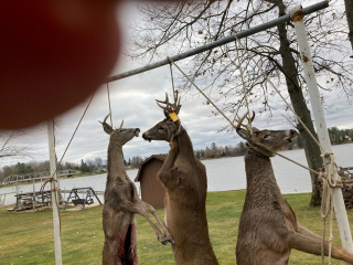 Paul Vennix of Auburn scores a 5 point in Ogamw County