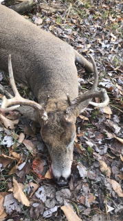 Richard Pendred of AuGres displays his big nine point swamp buck!