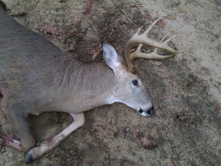 Richard Thompson of Tawas City displays his 9 point!