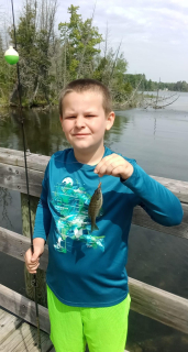 Gauge Geddert of Barton City with his Bluegill