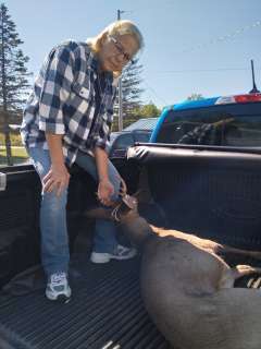 Pat Minney of Tawas City With her 6 point!