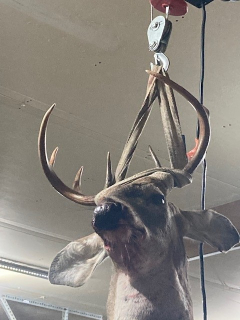 Larry Pipesh of National City Bagged His 8 point Buck in National City!