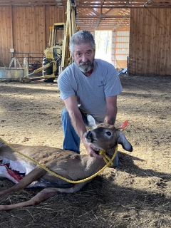 Robert Harris of West Branch Bagged a 2 point!  Just put up a tree stand, went out there, and sat down. Two hours later, he walked out. He looked right at me THREE TIMES. The last time I was moving to take the shot and he still didnâ??t spook. I lined it up and down he went.