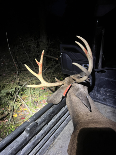 Cameron White Of Hale Bagged his 9 point in Iosco County!