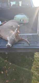 Mark Kapa of Presque Isle Bagged his 8 point in Alpena.Just a big thank you to my Godson Andy Spigelmyre for helping find it in the tall marsh grass. Told him I shot a 3 pt you should of heard him holler when he found a dark rack 8 pt