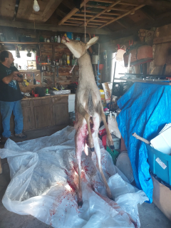 John Wheeler of Tawas City with his 6 point!