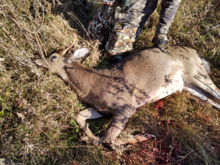Richard Michalak of Tawas City bagged his 3 point i Alabaster Township!