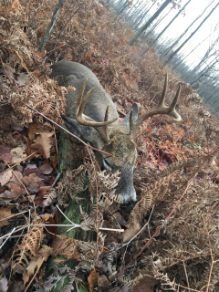 Kevin Kubik of Oscoda bagged an 8 point!