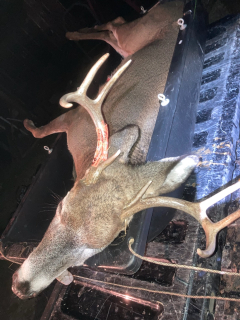 Ken Simmons from tawas city bagged an 8 point!