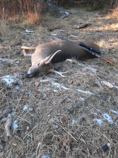 Scott McClellan of Alabasster bagged this 5 point in Whitney Township!