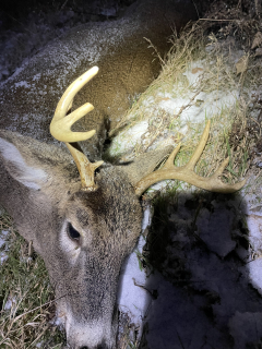 Brent Michalak of Tawas City bagged his 9 point in Iosco County!