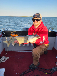 Sean Delaney of Rose City caught a Muske on the St Mary's River!