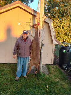 Mike Murphy, 78 and still hunting!  Mike is from AuGres and bagged his doe in Arenac County!