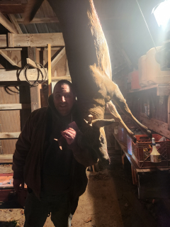 Jim Sanford from AuGres Bagged his 6 point in Tawas Township!