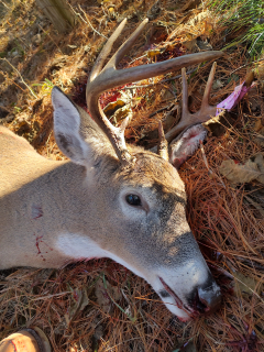 Rodney Whitford from Tawas City bagged an 8 point in Wilber Twp.