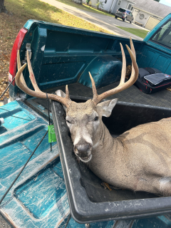 Gabriel Martin (not in picture/reguired) from Tawas City bagged an 8 point in Iosco County!   I watched as one by one some bucks came into view and grazed in front of me. The buck hung out just out of range until another buck came and they spared. This brought him within 20 yards and I was able to get the shot off and harvest him. 