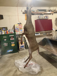 Larry Pipish (not in picture/reguired) of National City harvested an 8 8 Point!