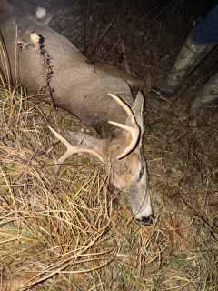 Deke Hurlburt (not in picture/required) Bagged a 6 point in Oscoda County!