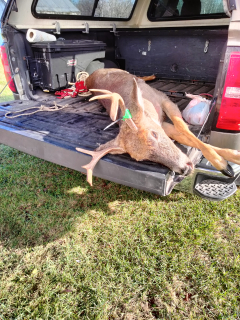 Michael Murphy (not in picture/required)  from Whitney Township Bagged his 7 Point in Augres!