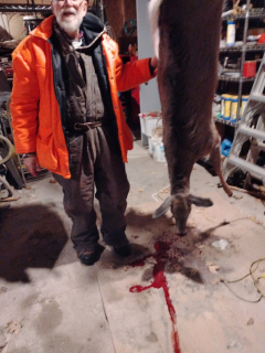 Glenn Belyea from Harrisville bagged his Doe in Harrisville!