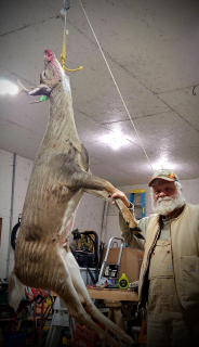 Greg Brown from Tawas City Bagged a 5 point in Iosco County!