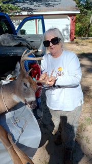 Rosemary Childs from Oscoda bagged her 8 point in Tawas!  I am 78 years old and I have enjoyed hunting with my husband for many years on our property in Tawas. Harvested a lot of bucks over the years. : Another Great Hunt in Tawas