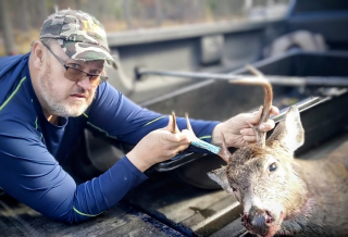 Marc VanPetten from Roscommon bagged an 8 point in Ogemaw County!   Woke up late it was raining, had a 10 mile drive to my hunting spot. Got to my spot at 7:20 well after daylight jumped 4 doe going out. Thought it was a waste of time but it was the first day of my vacation and decided to sit in the piece and quiet. At 9:18 I seen movement North West of me. Picked up my crossbow thinking the entire time it was going to be a doe. It took a couple more steps I seen antlers. Put my crossbow in my tripod shooting stick. By now he's getting in to and opening. Then he stopped and turned head on to me looking straight at me I thought he's going to run. He turned slightly and I sent it. Double lung ran about 70 yards. : 8 point Ogemaw county 