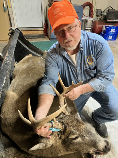Richard Tracy from Harrisville bagged his 9 point in Alcona County! Was watching 2 does and 2 fawns and here he comes behind them ! 